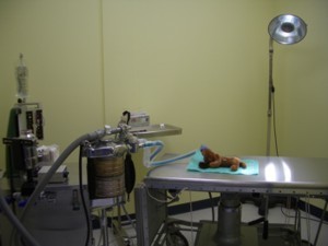 Surgery